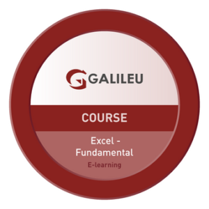 Microsoft Excel Fundamental (E-Learning) 
